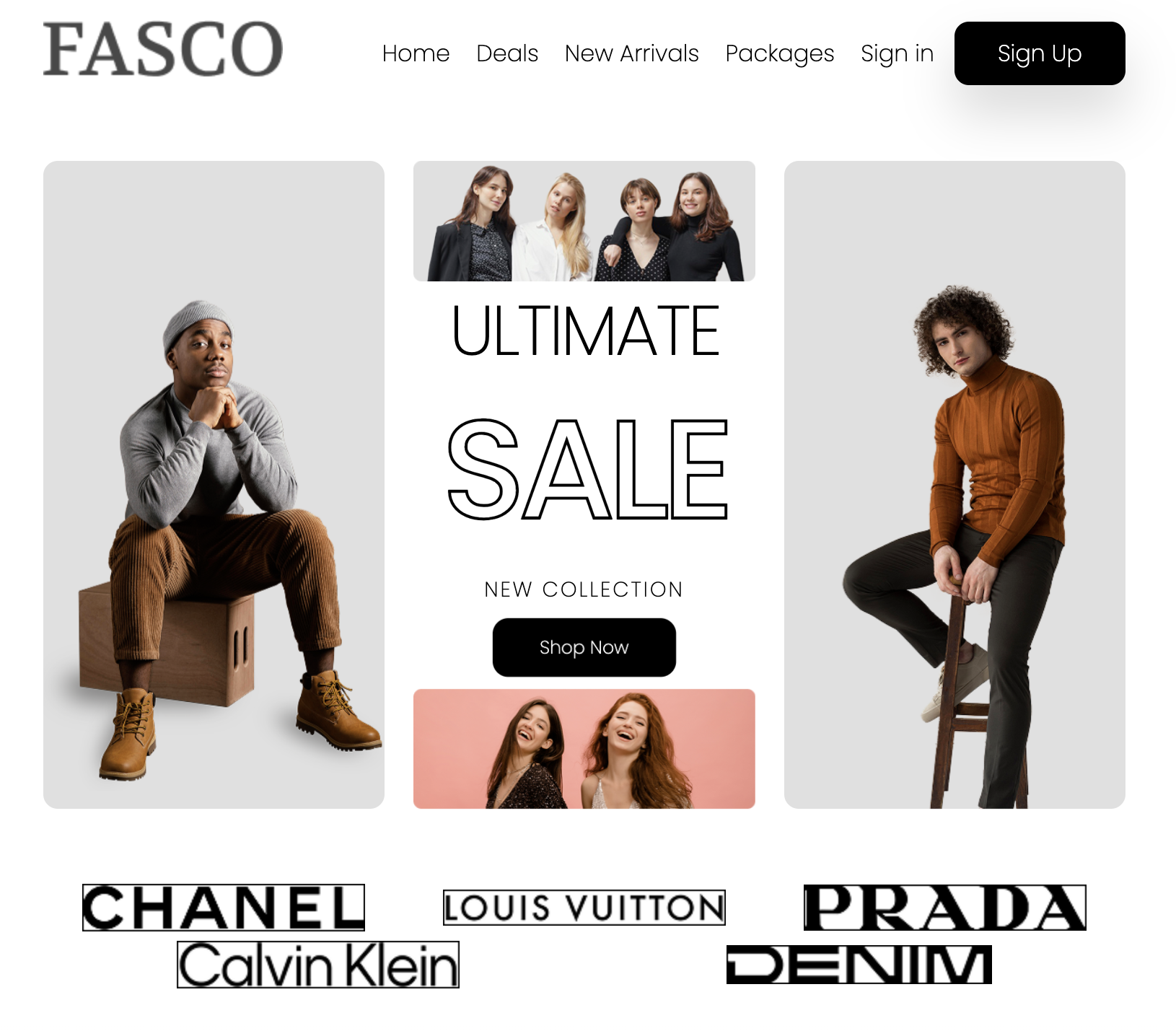 Screenshot of Website