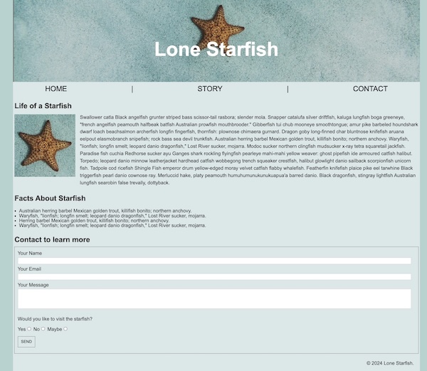 Screenshot of Website